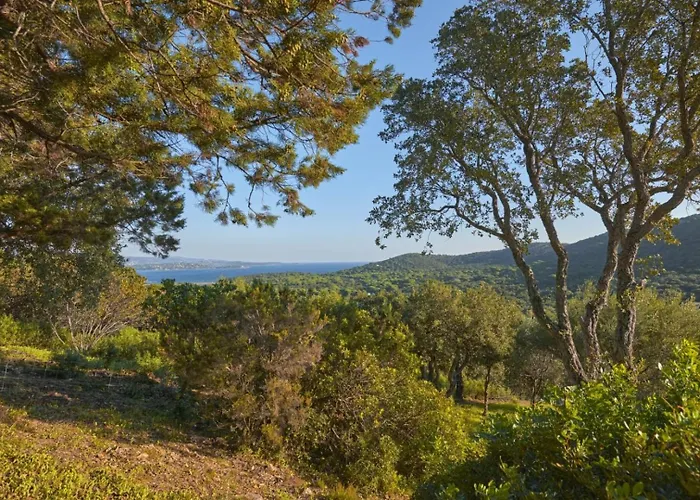 住宿加早餐酒店 Casa Penisula 维琪奥港